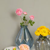 Aconitum Pink Flowers